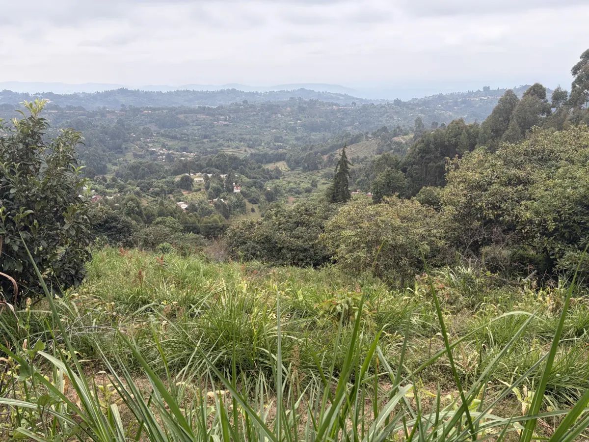 Green agricultural land across the hills of Machakos, Kenya
